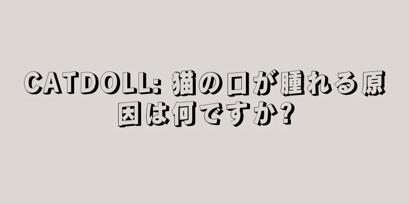 CATDOLL: 猫の口が腫れる原因は何ですか?