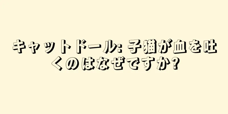 キャットドール: 子猫が血を吐くのはなぜですか?