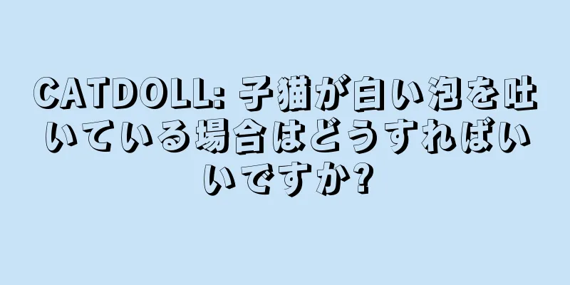 CATDOLL: 子猫が白い泡を吐いている場合はどうすればいいですか?