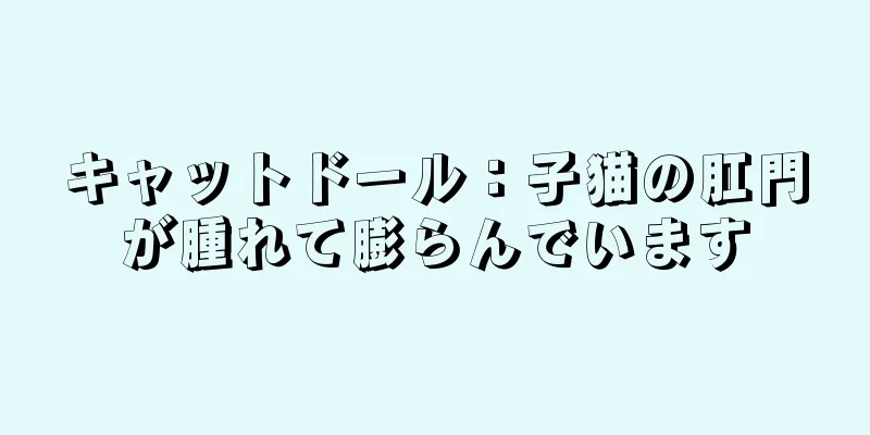 キャットドール：子猫の肛門が腫れて膨らんでいます