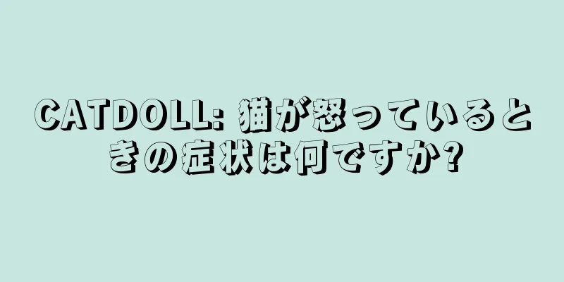 CATDOLL: 猫が怒っているときの症状は何ですか?