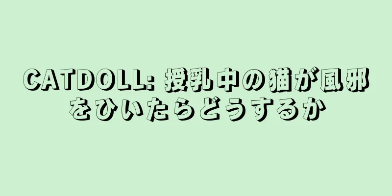 CATDOLL: 授乳中の猫が風邪をひいたらどうするか