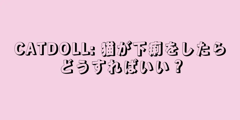 CATDOLL: 猫が下痢をしたらどうすればいい？