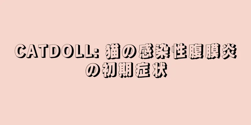 CATDOLL: 猫の感染性腹膜炎の初期症状
