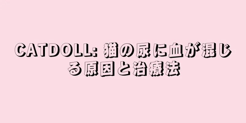 CATDOLL: 猫の尿に血が混じる原因と治療法