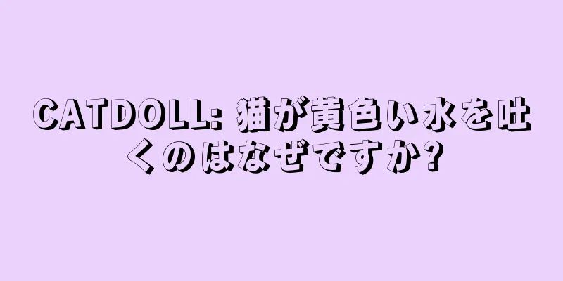 CATDOLL: 猫が黄色い水を吐くのはなぜですか?