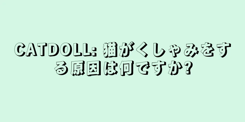 CATDOLL: 猫がくしゃみをする原因は何ですか?