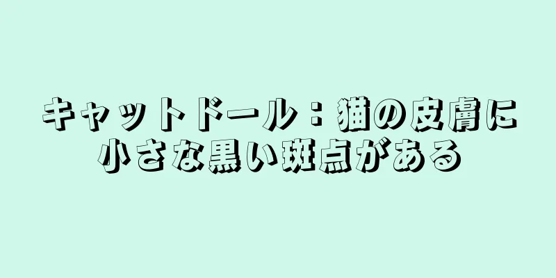 キャットドール：猫の皮膚に小さな黒い斑点がある