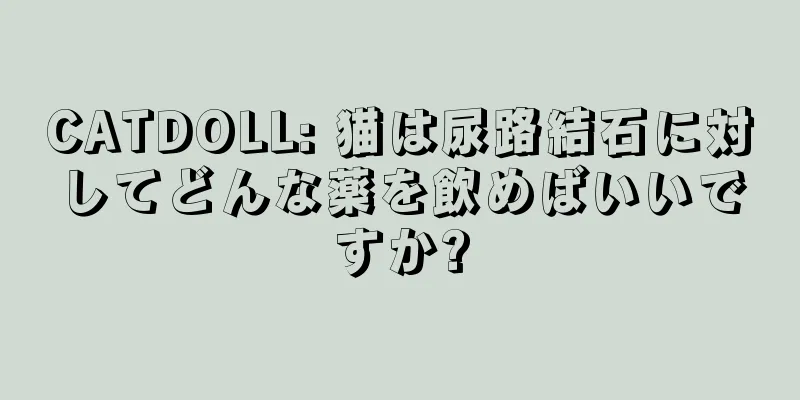 CATDOLL: 猫は尿路結石に対してどんな薬を飲めばいいですか?