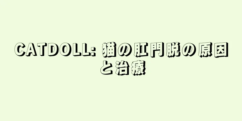CATDOLL: 猫の肛門脱の原因と治療