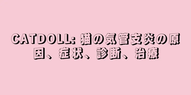 CATDOLL: 猫の気管支炎の原因、症状、診断、治療