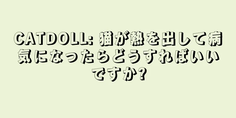 CATDOLL: 猫が熱を出して病気になったらどうすればいいですか?