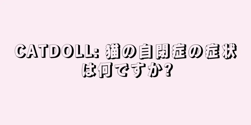CATDOLL: 猫の自閉症の症状は何ですか?