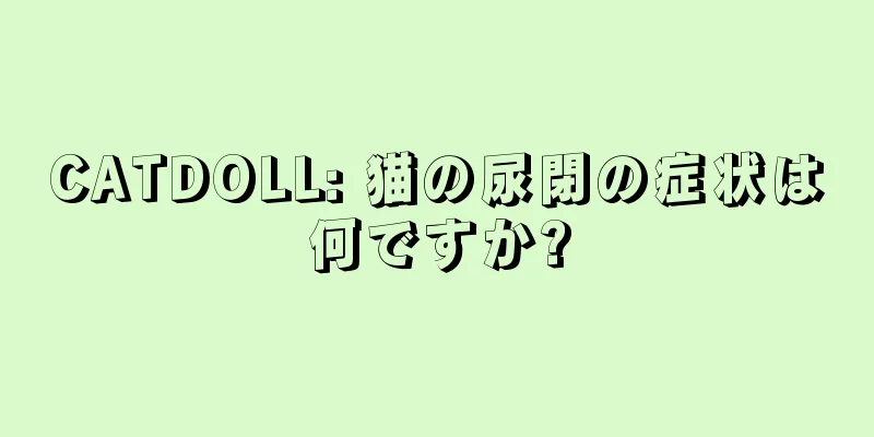 CATDOLL: 猫の尿閉の症状は何ですか?