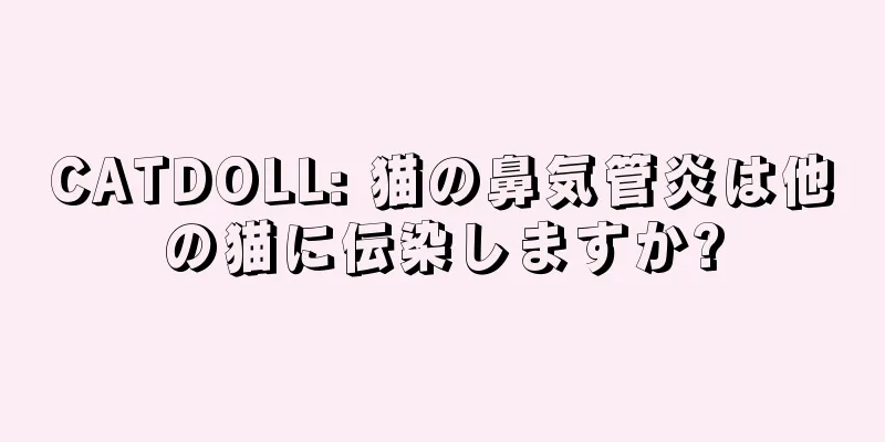 CATDOLL: 猫の鼻気管炎は他の猫に伝染しますか?