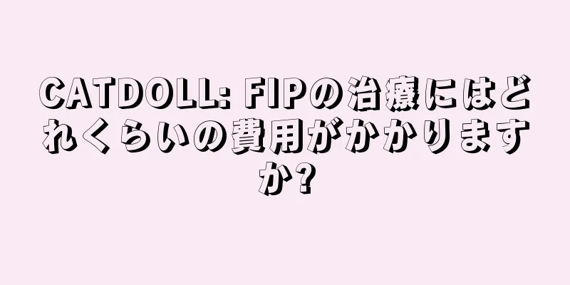 CATDOLL: FIPの治療にはどれくらいの費用がかかりますか?