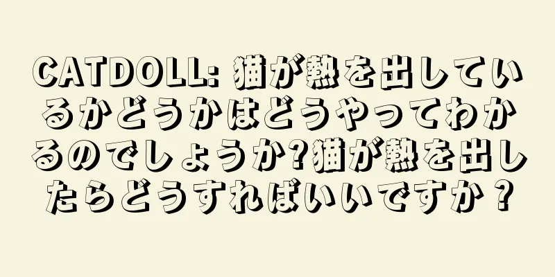 CATDOLL: 猫が熱を出しているかどうかはどうやってわかるのでしょうか?猫が熱を出したらどうすればいいですか？