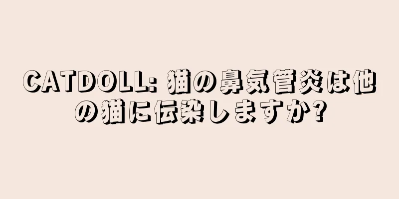 CATDOLL: 猫の鼻気管炎は他の猫に伝染しますか?