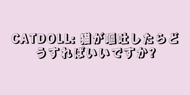 CATDOLL: 猫が嘔吐したらどうすればいいですか?