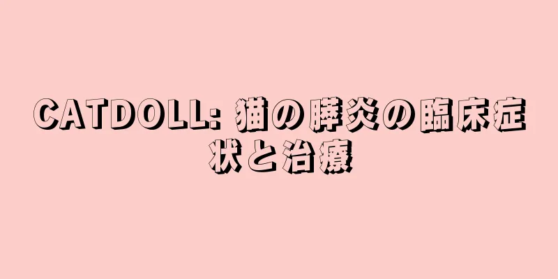 CATDOLL: 猫の膵炎の臨床症状と治療