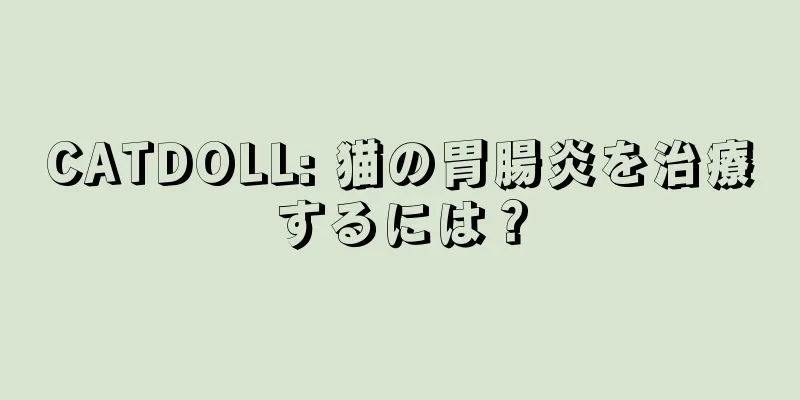 CATDOLL: 猫の胃腸炎を治療するには？