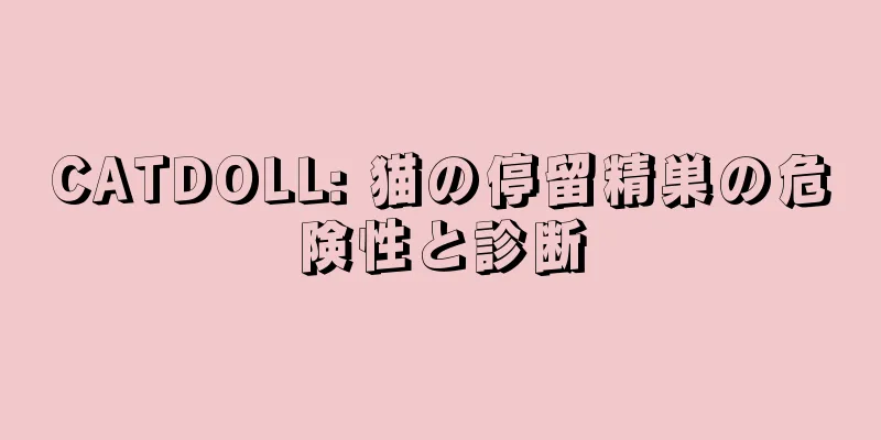 CATDOLL: 猫の停留精巣の危険性と診断