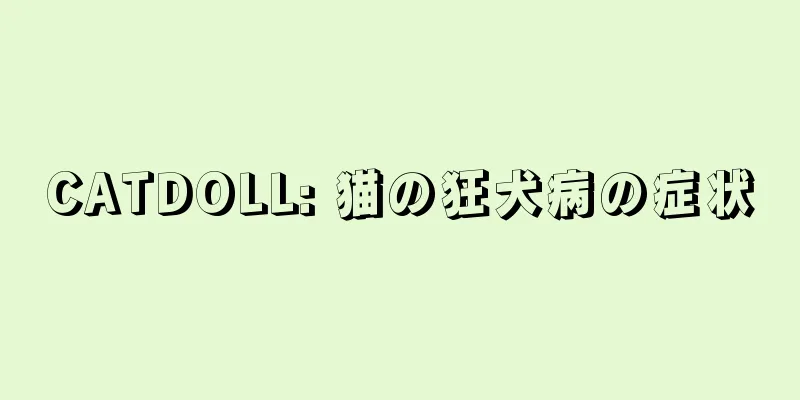 CATDOLL: 猫の狂犬病の症状
