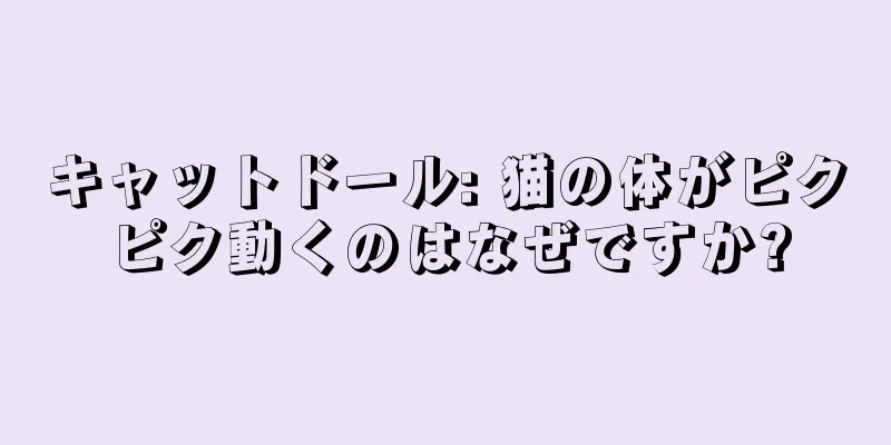 キャットドール: 猫の体がピクピク動くのはなぜですか?