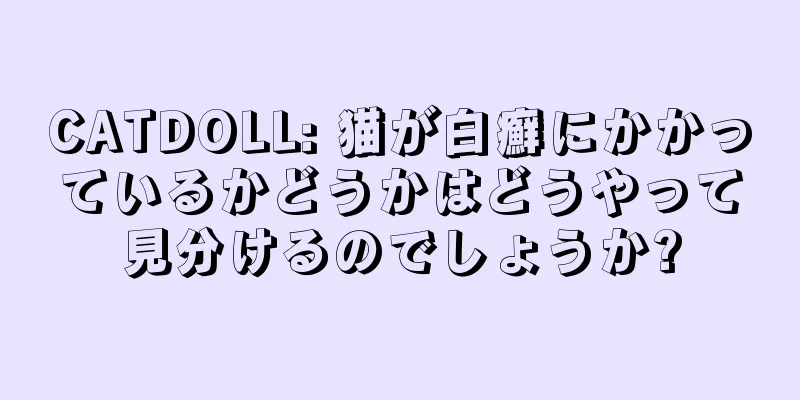 CATDOLL: 猫が白癬にかかっているかどうかはどうやって見分けるのでしょうか?