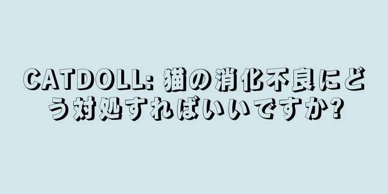 CATDOLL: 猫の消化不良にどう対処すればいいですか?