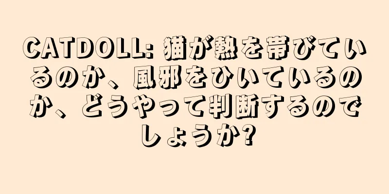 CATDOLL: 猫が熱を帯びているのか、風邪をひいているのか、どうやって判断するのでしょうか?