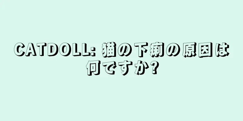 CATDOLL: 猫の下痢の原因は何ですか?
