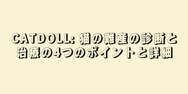 CATDOLL: 猫の難産の診断と治療の4つのポイントと詳細
