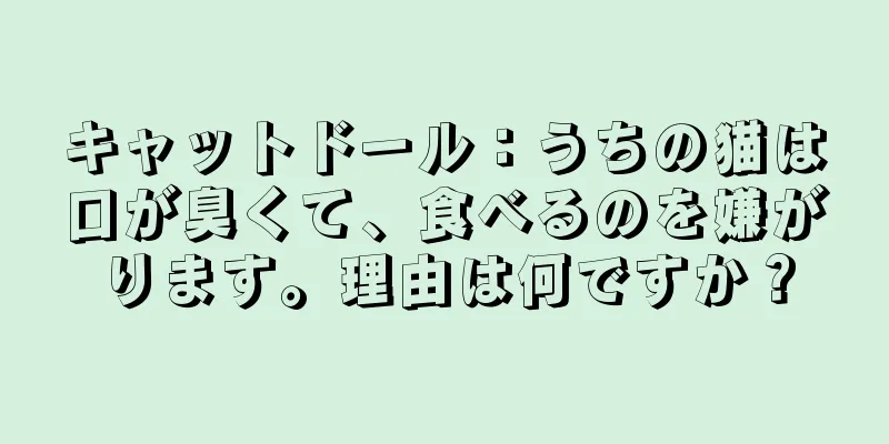 キャットドール：うちの猫は口が臭くて、食べるのを嫌がります。理由は何ですか？