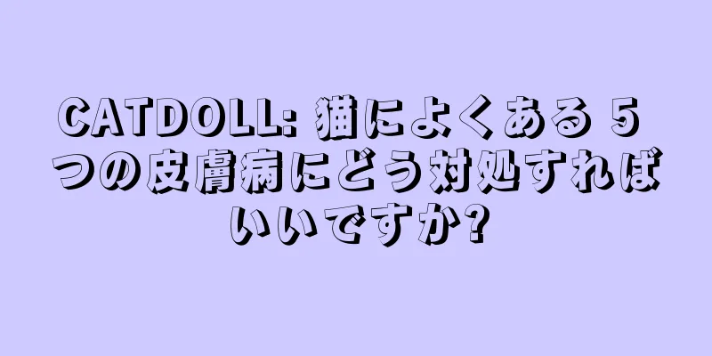 CATDOLL: 猫によくある 5 つの皮膚病にどう対処すればいいですか?