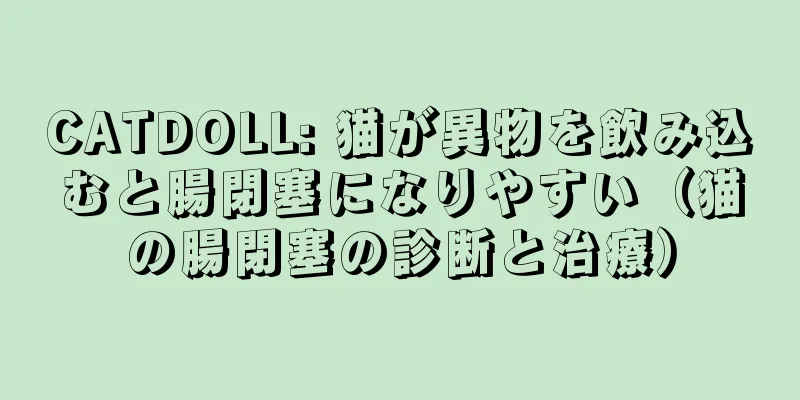 CATDOLL: 猫が異物を飲み込むと腸閉塞になりやすい（猫の腸閉塞の診断と治療）