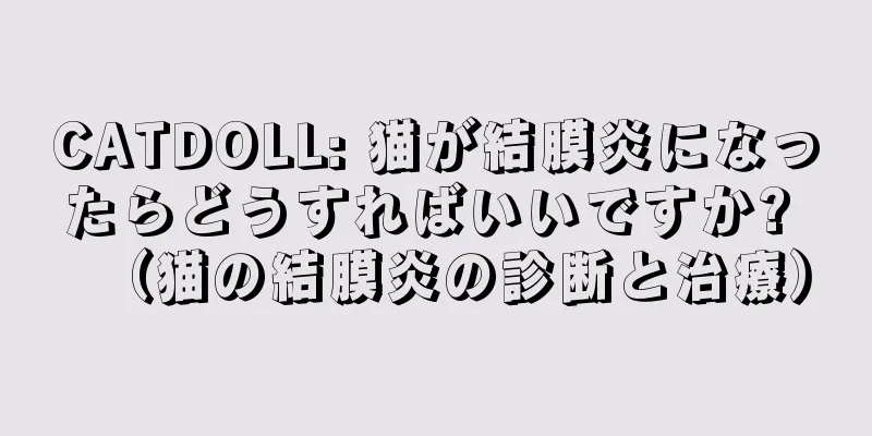 CATDOLL: 猫が結膜炎になったらどうすればいいですか? （猫の結膜炎の診断と治療）