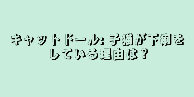 キャットドール: 子猫が下痢をしている理由は？