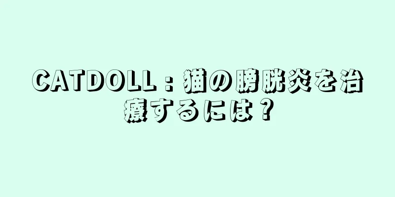 CATDOLL : 猫の膀胱炎を治療するには？