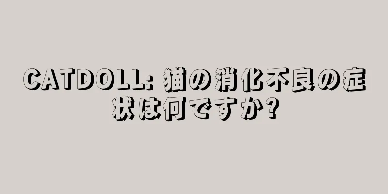 CATDOLL: 猫の消化不良の症状は何ですか?