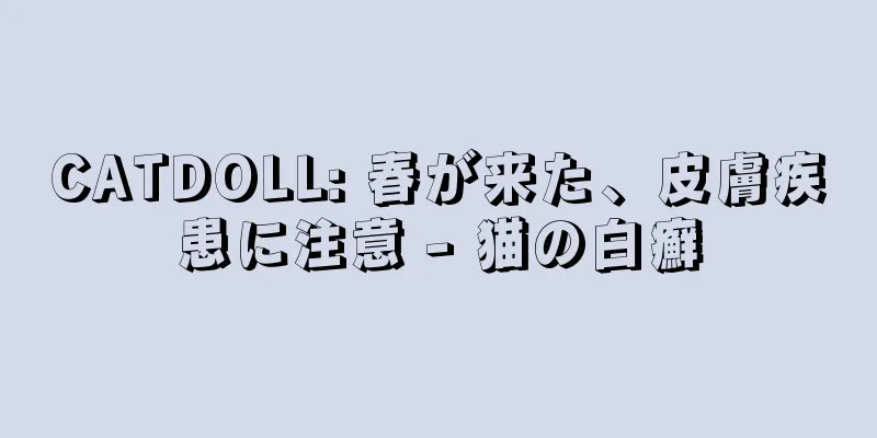 CATDOLL: 春が来た、皮膚疾患に注意 - 猫の白癬