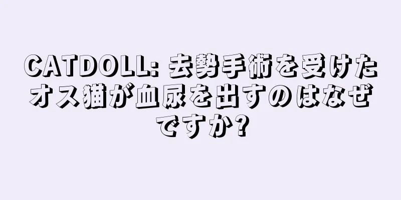 CATDOLL: 去勢手術を受けたオス猫が血尿を出すのはなぜですか?