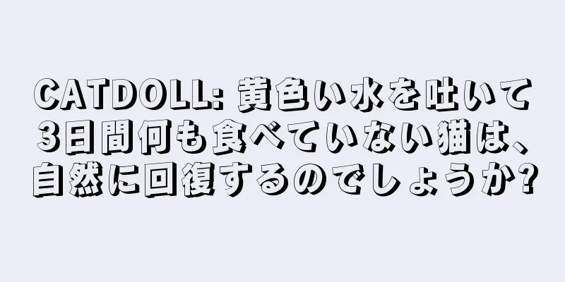 CATDOLL: 黄色い水を吐いて3日間何も食べていない猫は、自然に回復するのでしょうか?