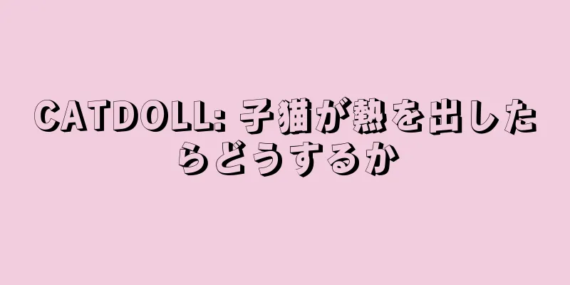 CATDOLL: 子猫が熱を出したらどうするか