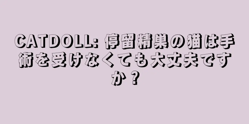 CATDOLL: 停留精巣の猫は手術を受けなくても大丈夫ですか？