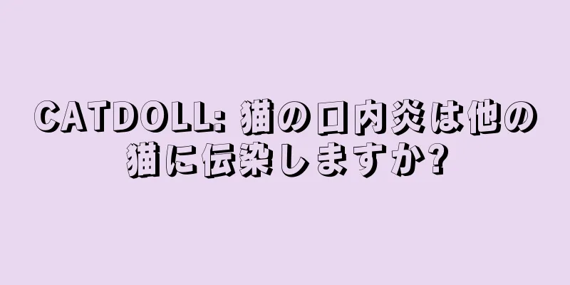 CATDOLL: 猫の口内炎は他の猫に伝染しますか?