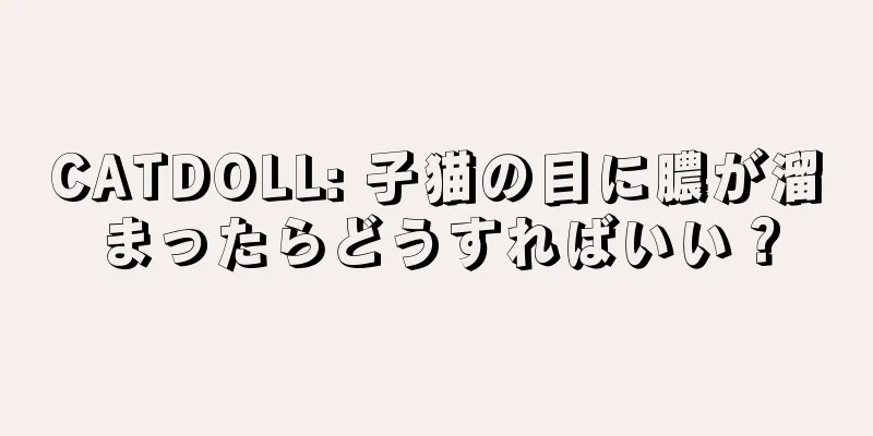 CATDOLL: 子猫の目に膿が溜まったらどうすればいい？