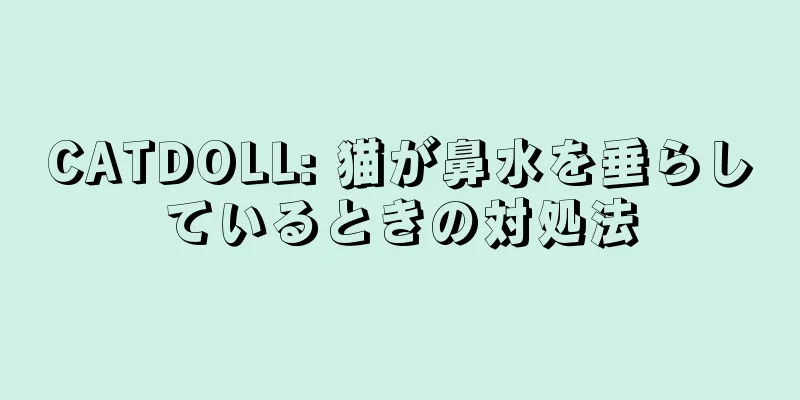 CATDOLL: 猫が鼻水を垂らしているときの対処法