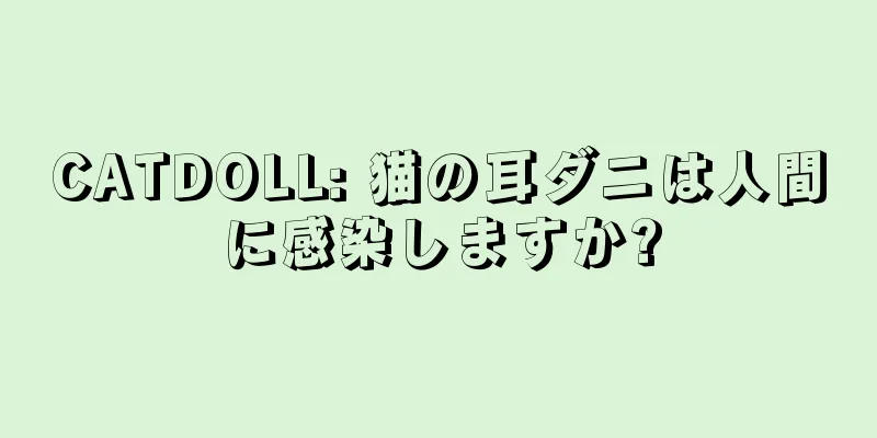 CATDOLL: 猫の耳ダニは人間に感染しますか?