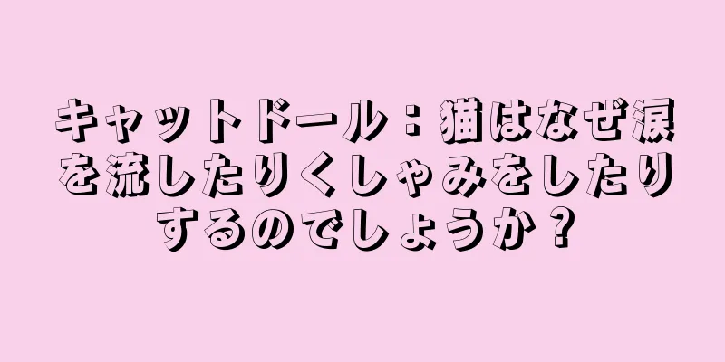 キャットドール：猫はなぜ涙を流したりくしゃみをしたりするのでしょうか？